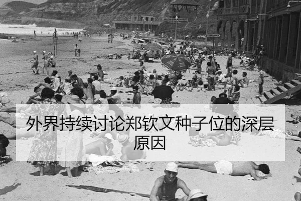 wai-jie-chi-xu-tao-lun-zheng-qin-wen-zhong-zi-wei-de-shen-ceng-yuan-yin-2-688.jpg