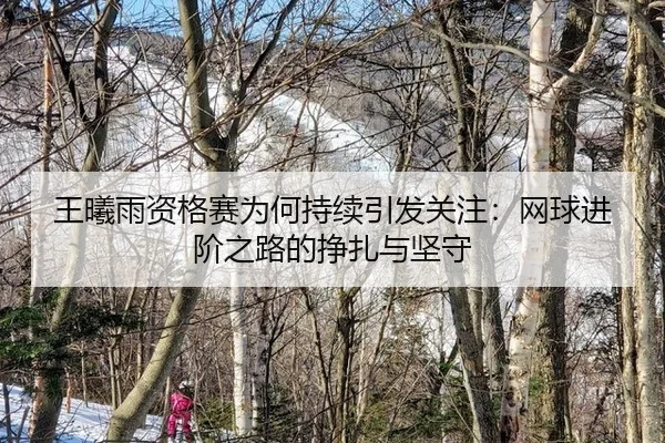 王曦雨资格赛为何持续引发关注：网球进阶之路的挣扎与坚守